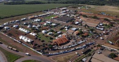 Expogenética MS 2026 começa nessa semana com negócios, cultura e entretenimento na Capital