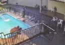 Vídeo: um morre e outro é baleado durante atentado em casa de lazer no Bairro Jardim Tarumã
